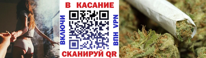 Псилоцибиновые грибы Минеральные Воды