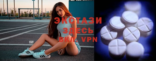 гидра Гусь-Хрустальный