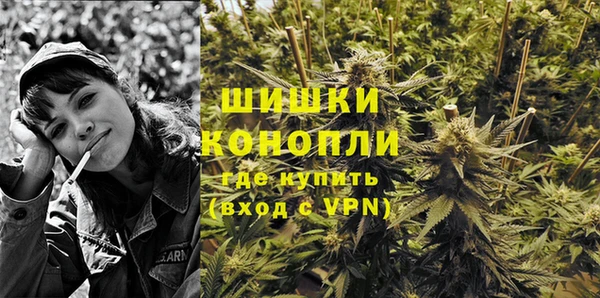 бутират Гусев
