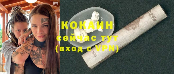 гидра Гусь-Хрустальный