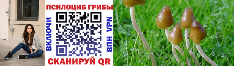купить  цена  Минеральные Воды  Галлюциногенные грибы мухоморы 