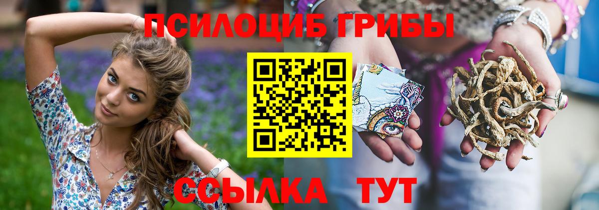 Галлюциногенные грибы Cubensis Минеральные Воды